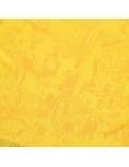 Barcelona | 100th Anniversary | Yellow